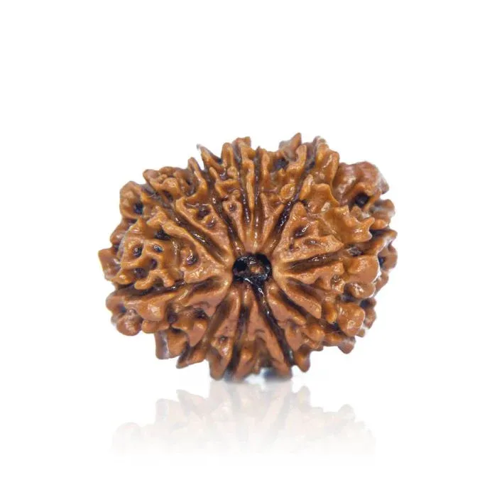 10Mukhi2