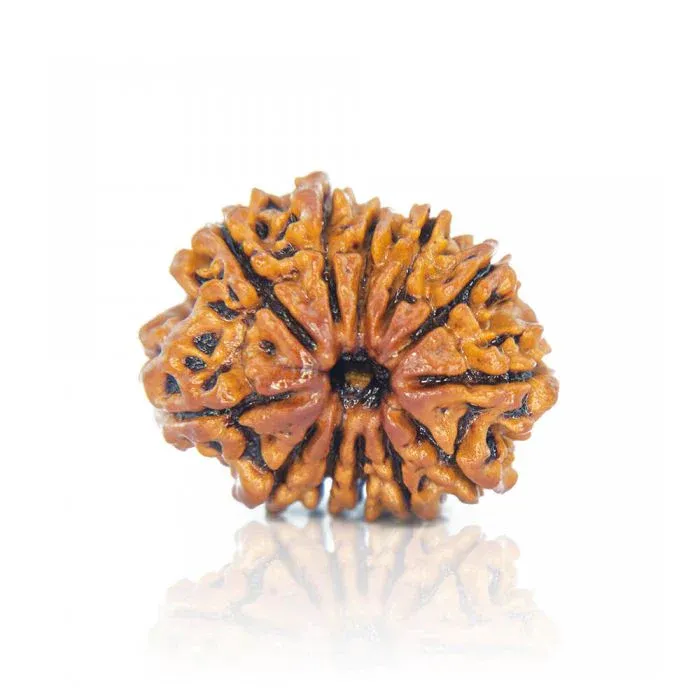 12Mukhi2