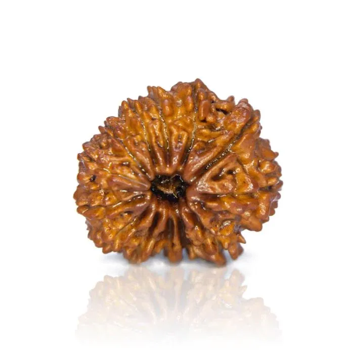 13Mukhi2