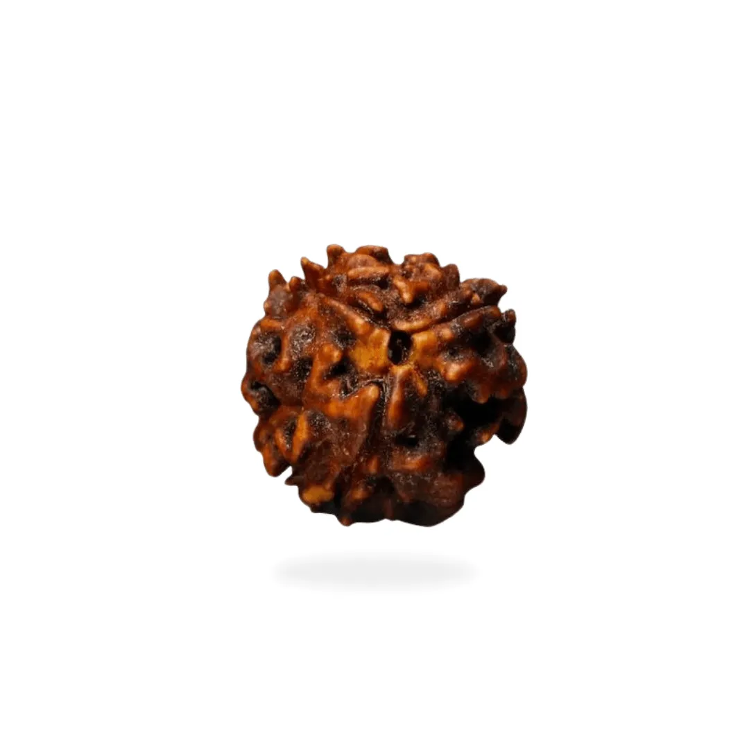 3 Mukhi 1