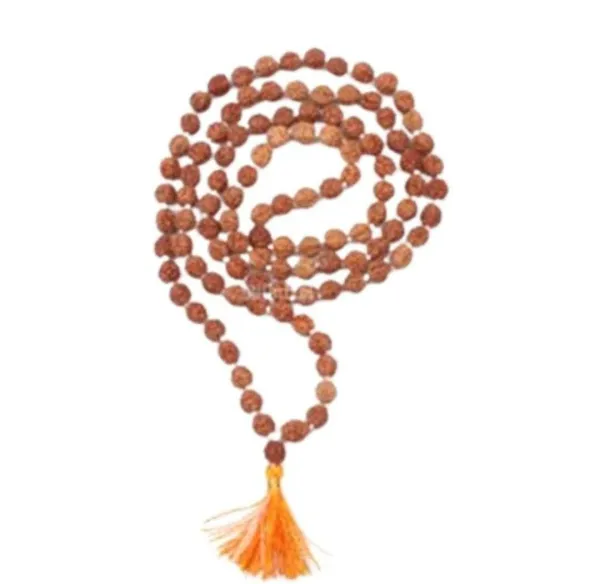 6 Mukhi Rudraksha Mala E1700932067506