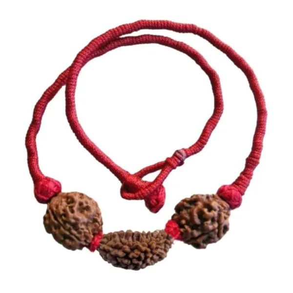 Dhan Lakshmi Rudraksha Kavach Mala
