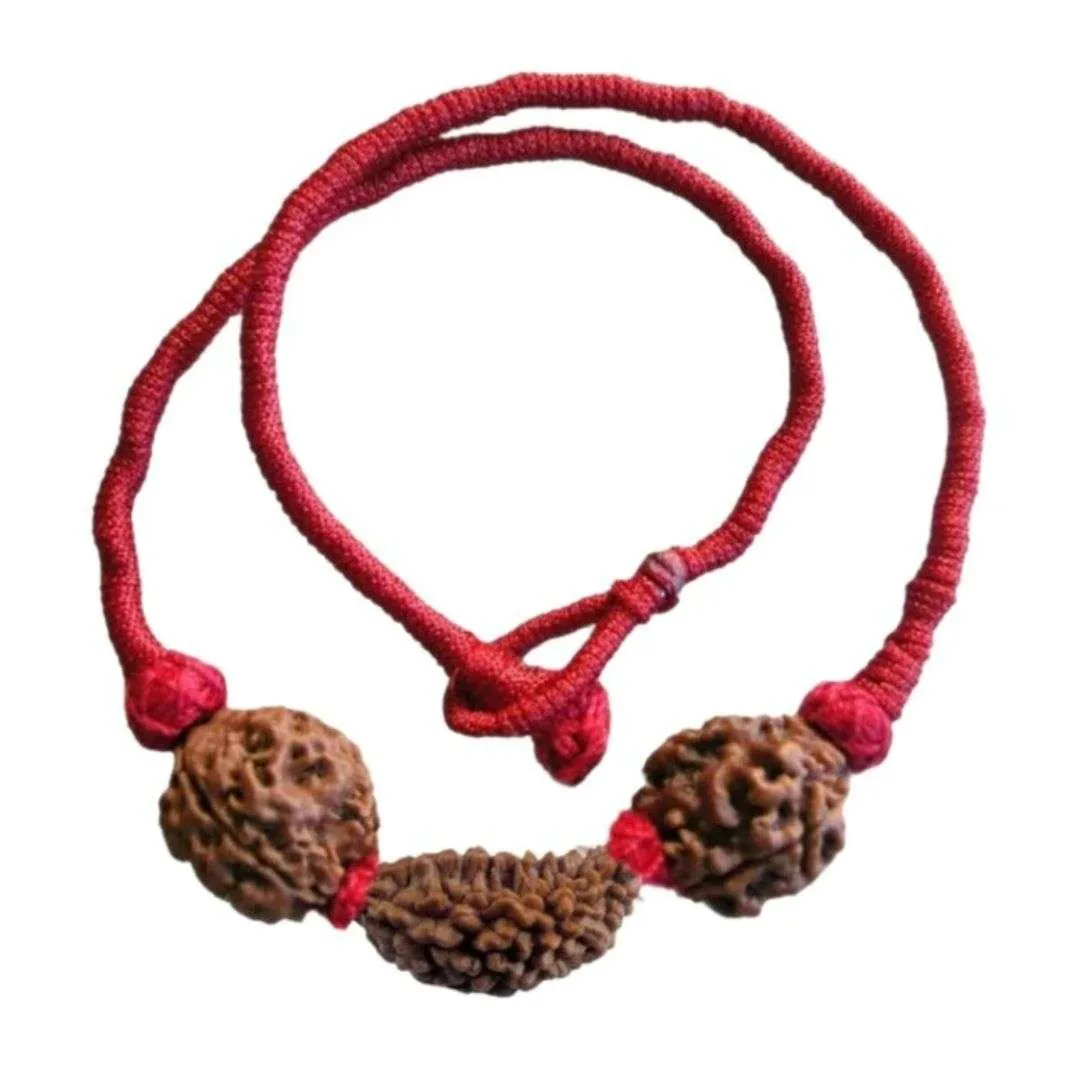 Dhan Lakshmi Rudraksha Kavach Mala