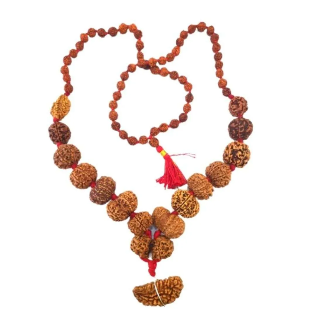 Sampurna Rudraksha Kavach Mala 1 To 14 Mukhi